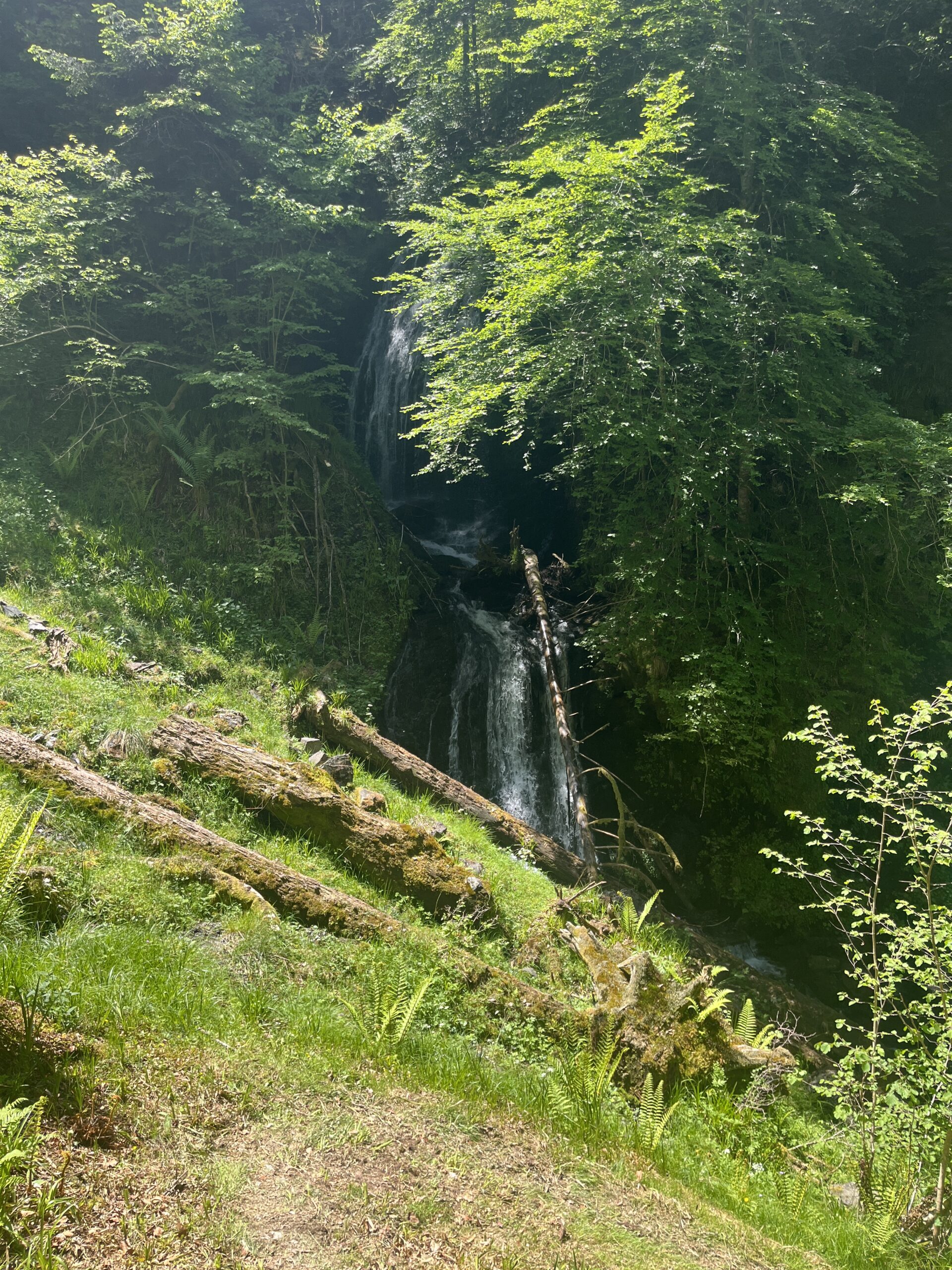 Cascade